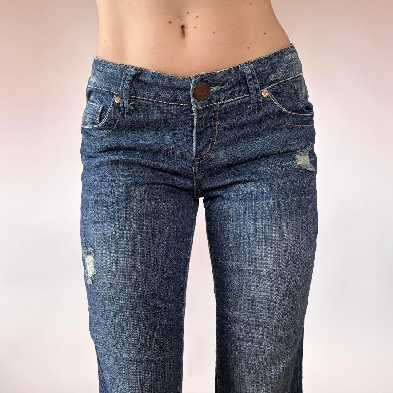 Y2K Low Rise Flare Jeans (S)