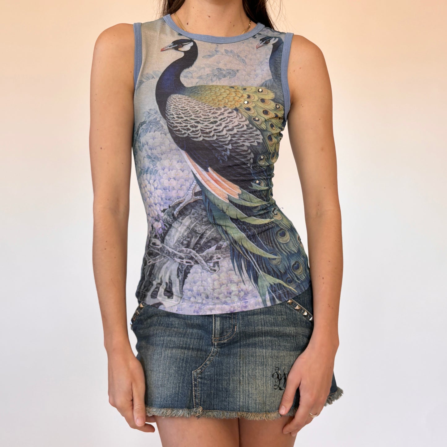 Y2K Mesh Peacock Tank (S)