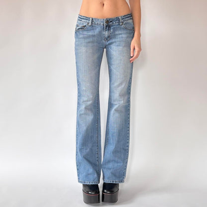 Y2K Low Rise Flare Jeans (S/M)