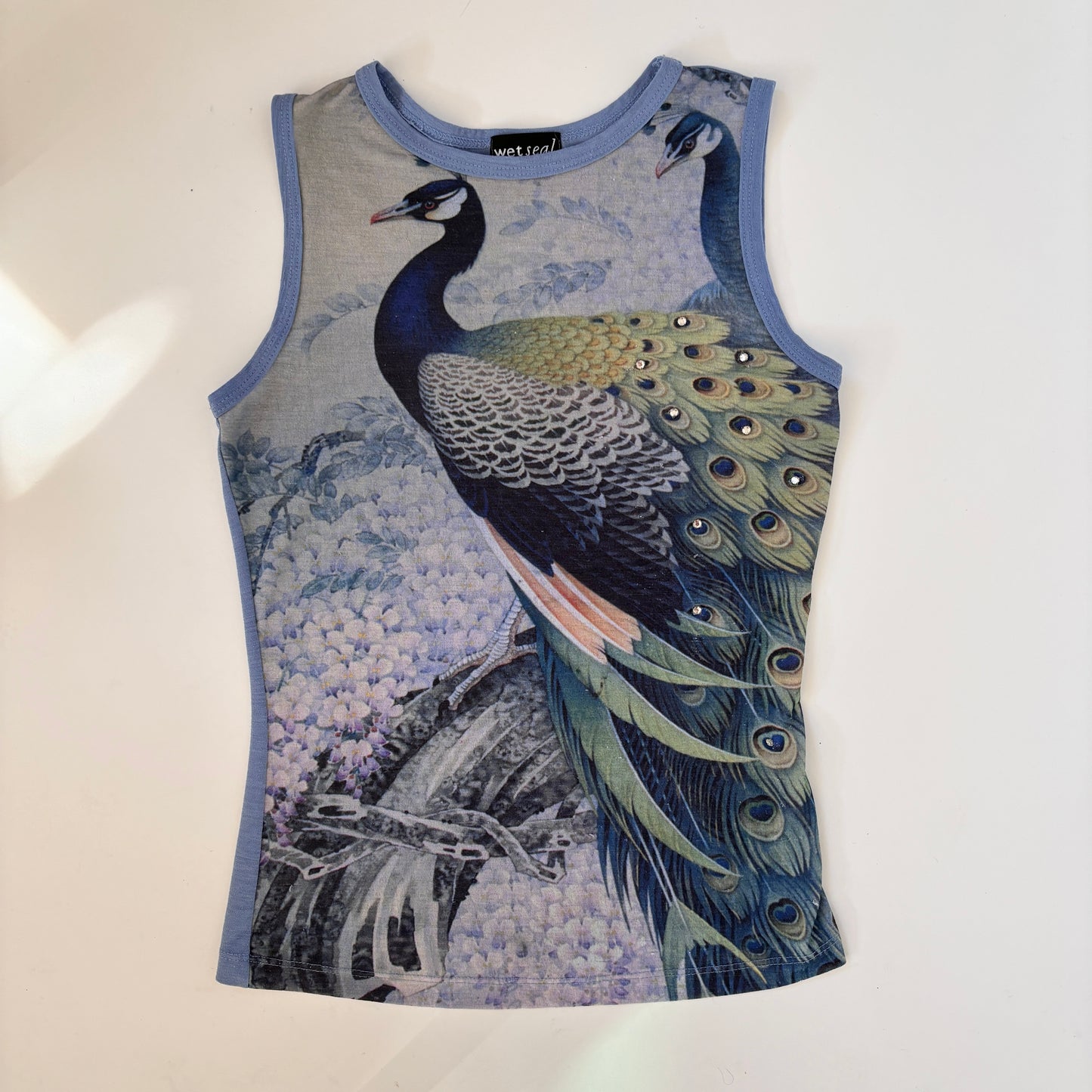 Y2K Mesh Peacock Tank (S)