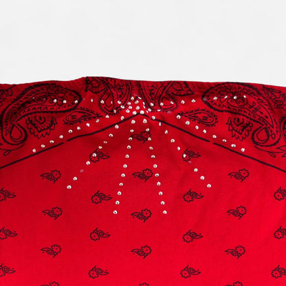 Y2K Bandana Tube Top (M)