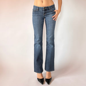 Y2K Low Rise Jeans (XS)