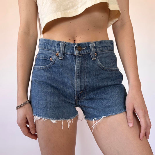 Levi’s 80s Cutoff Denim Shorts (S)