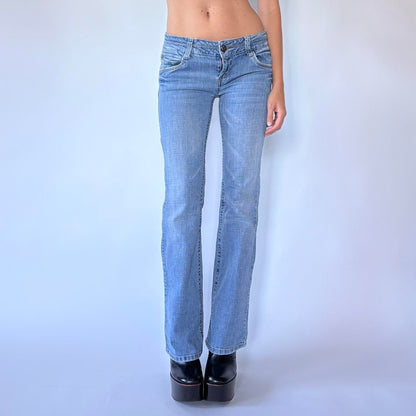 Y2K Low Rise Jeans (XS)
