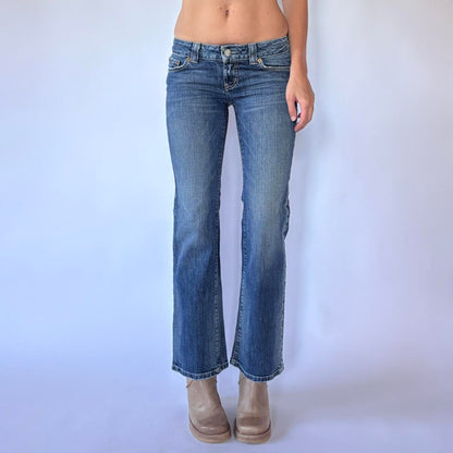 00s American Eagle Low Rise Bootcut Jeans (XXS)