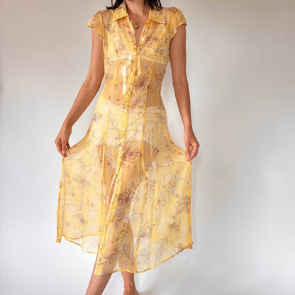 Pure Silk Sheer Dress (M)