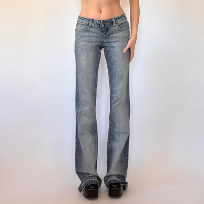 Y2K Low Rise Flare Jeans (XS)