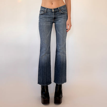 2000s Low Rise Jeans (XS)
