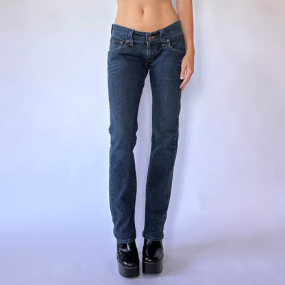 2005 Levi’s Low Rise Jeans (S)