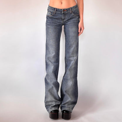 Y2K Low Rise Flare Jeans (S)