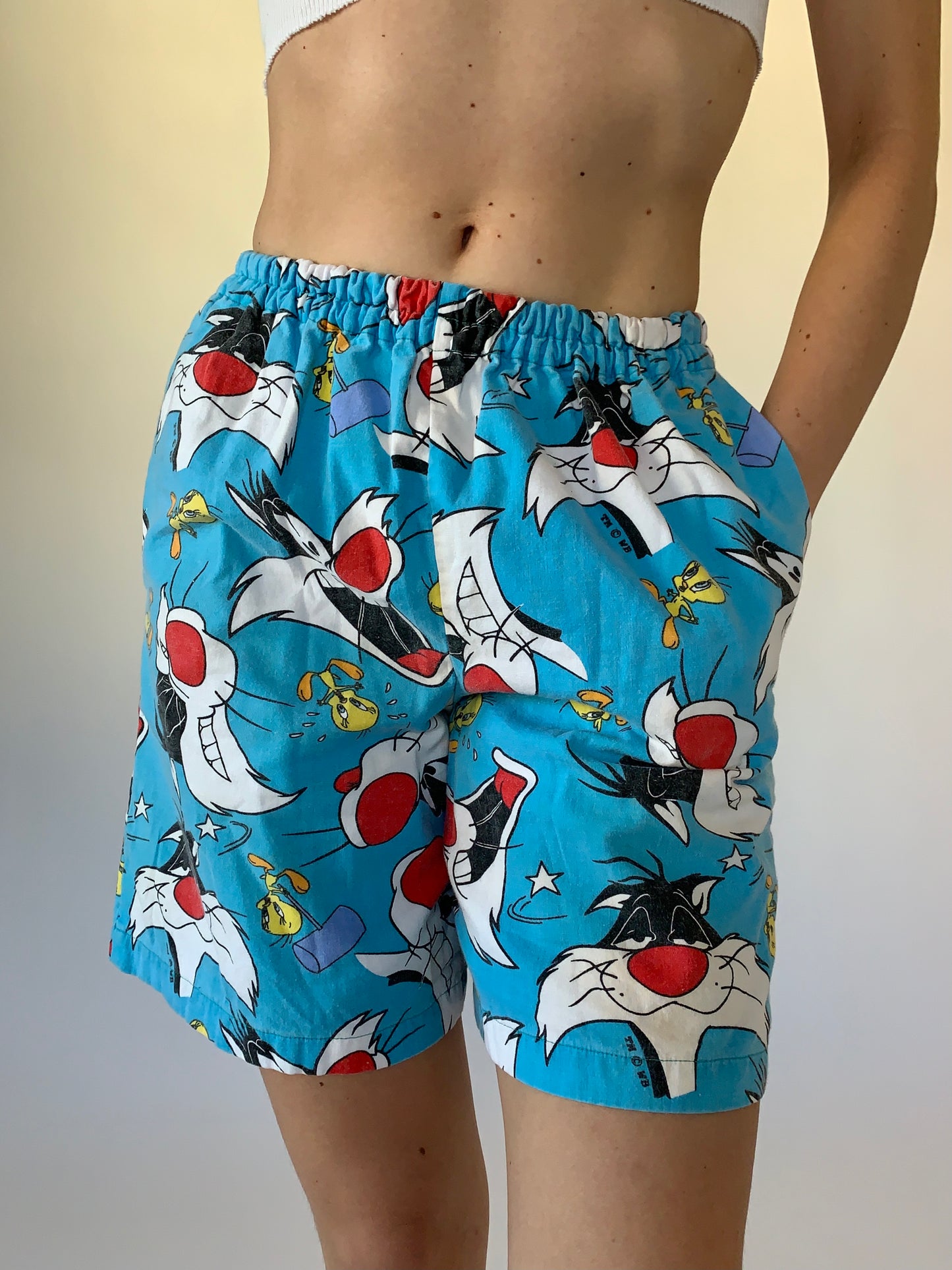 Vintage Sylvester & Tweety Shorts