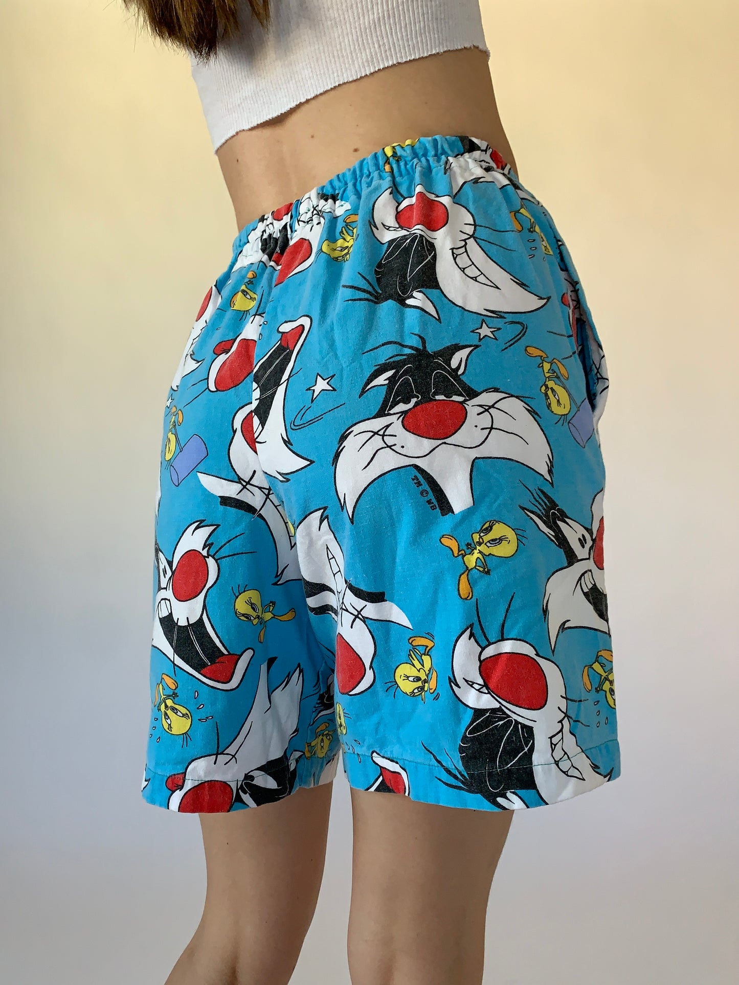Vintage Sylvester & Tweety Shorts